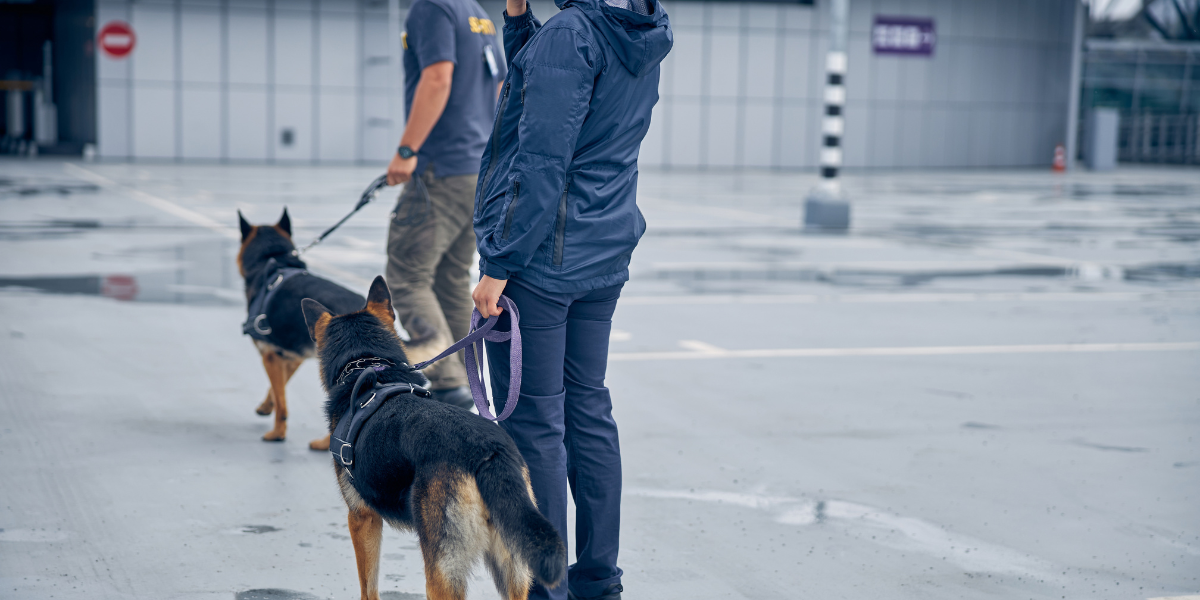 cargo screening and k9 services