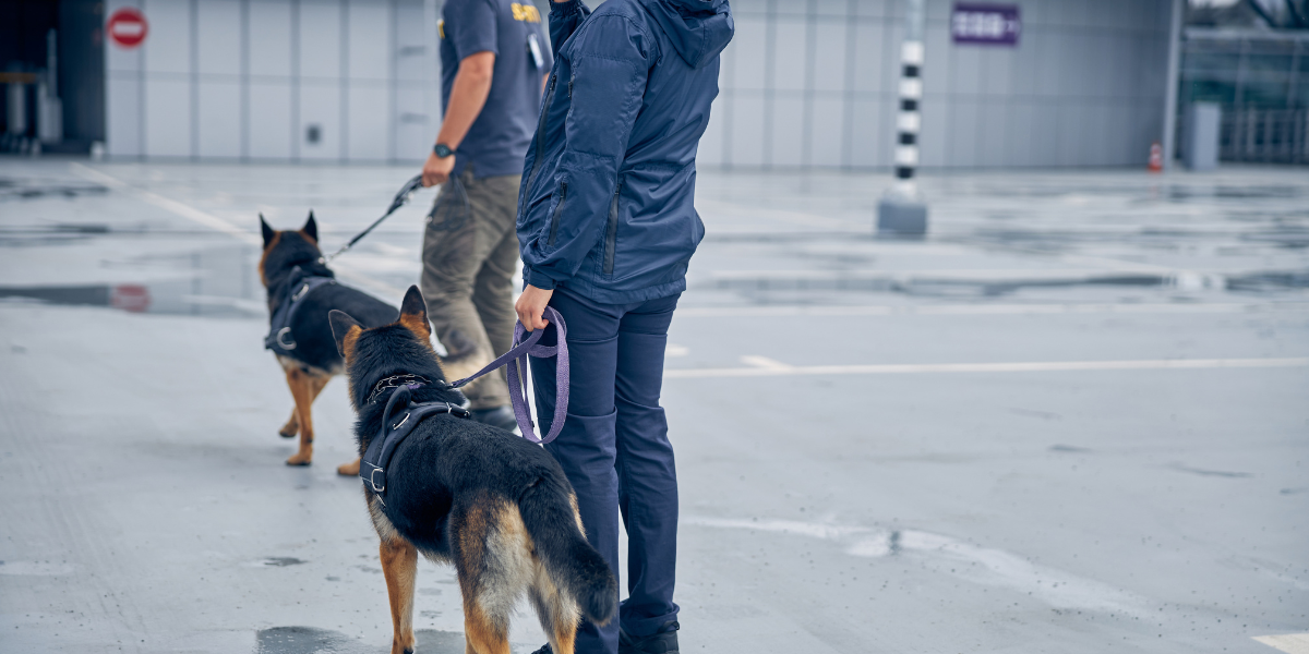 cargo screening and k9 services